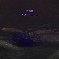 毒蟲王 アリアチェチェ