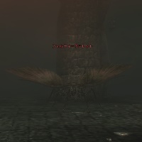 フィルティーヴァレット