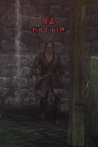 怪盗 ゼルド１３世