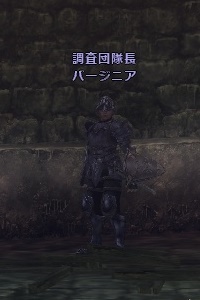 調査団隊長 バージニア