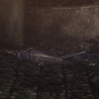 殺害された調査員