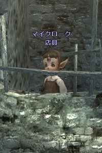 マイクローク 店員