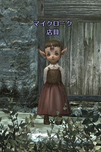 マイクローク 店員