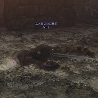 元大富豪の冒険者 カート