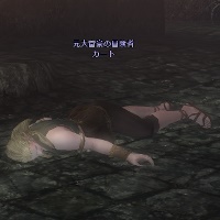 元大富豪の冒険者 カート