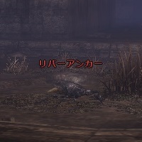 リバーアンカー