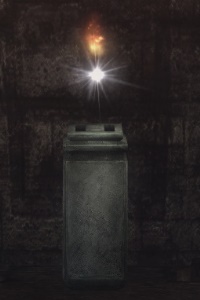 スイッチ（獅子）