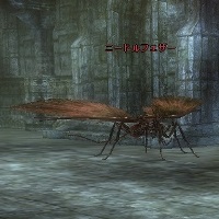 ニードルフェザー