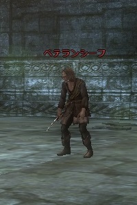 ベテランシーフ