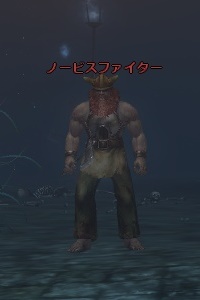 ノービスファイター