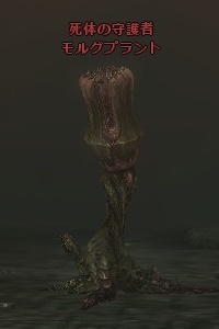 モルグプラント