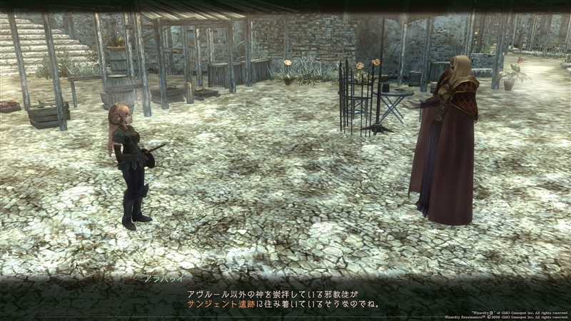 アラハゥイの戯言