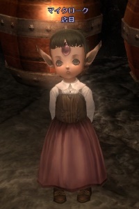 マイクローク 店員