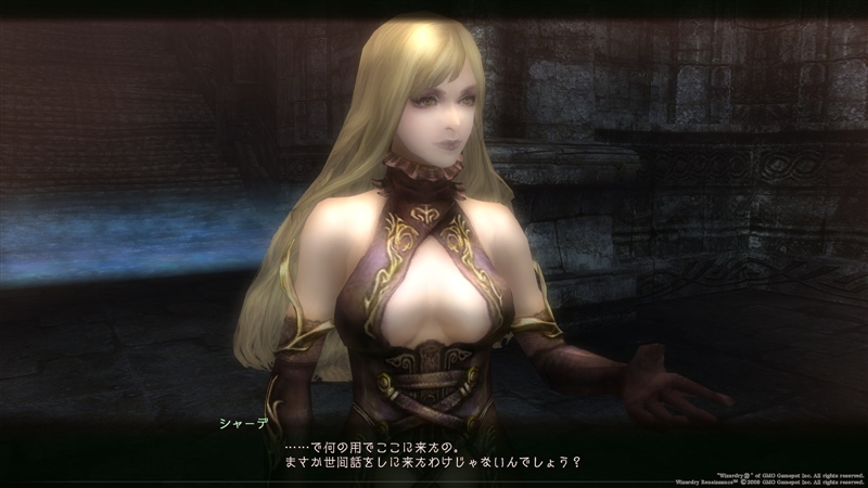 漆黒の美女と仮面の貴族