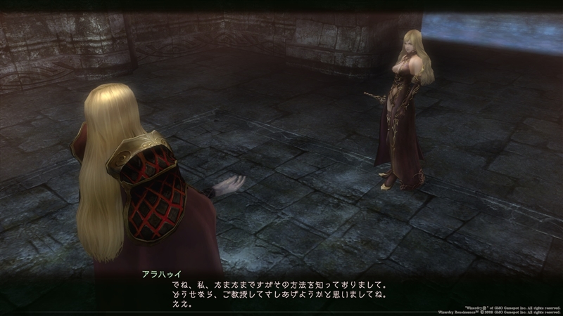 漆黒の美女と仮面の貴族