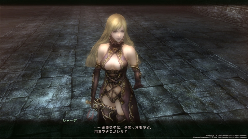 漆黒の美女と邪教の司祭