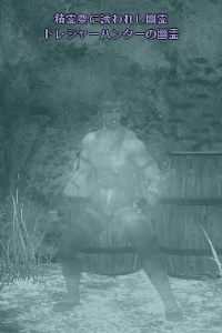 精霊祭に誘われし幽霊 トレジャーハンターの幽霊