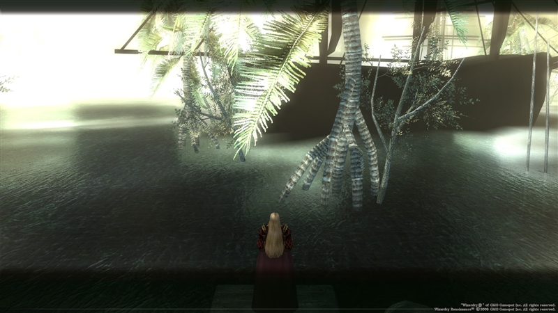 アラハゥイ登場