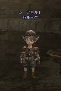 シーフギルド カルッグ