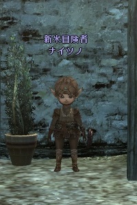 新米冒険者 ナイツノ