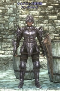 クォパティ方面門番 ハングバック