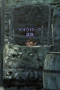 マイクローク 店員