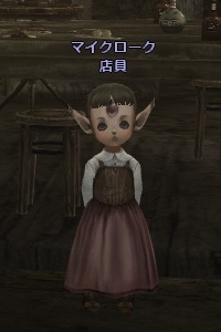 マイクローク 店員