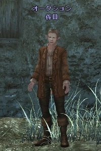 オークション 係員 (D)