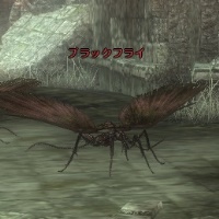 ブラックフライ