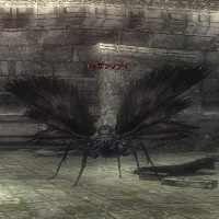 ドラゴンフライ