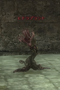 ヒドラプラント