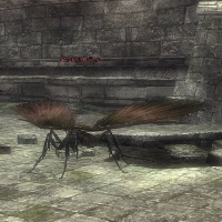 インピュリティー