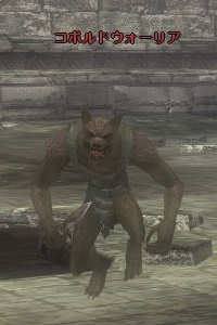 コボルドウォーリア