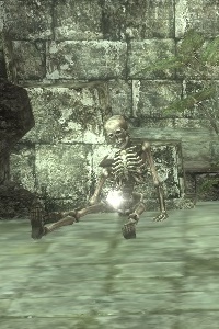 朽ち果てた遺体 