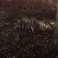 ブラックウィドウ