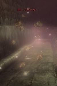 ボーンサッカー