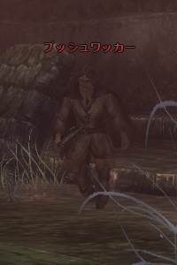 ブッシュワッカー