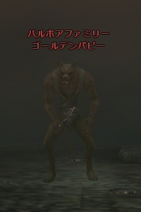 ゴールデンパピー