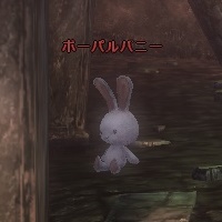 ボーパルバニー