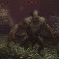 ズールソルジャー