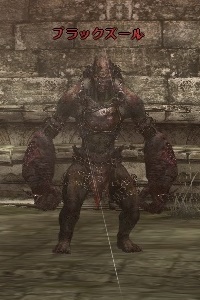 ブラックズール