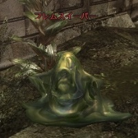 フレムスイーパー