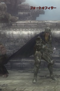 フォートオフィサー