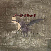 ノーティキッド