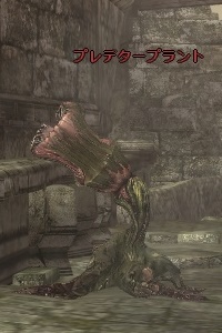 プレデタープラント