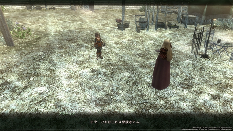 アラハゥイの戯言 その2