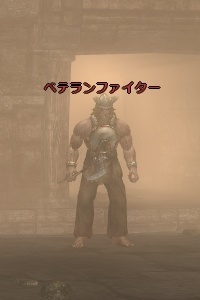 ベテランファイター