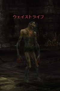 ウェイストライフ