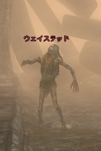 ウェイステッド