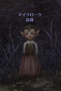 マイクローク 店員